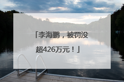 李海鹏，被罚没超426万元！